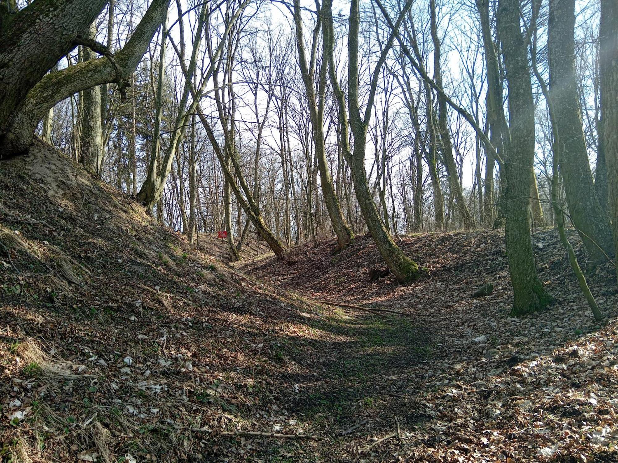 Pokoje Goscinne Sloneczny Klon Dabrowno Extérieur photo