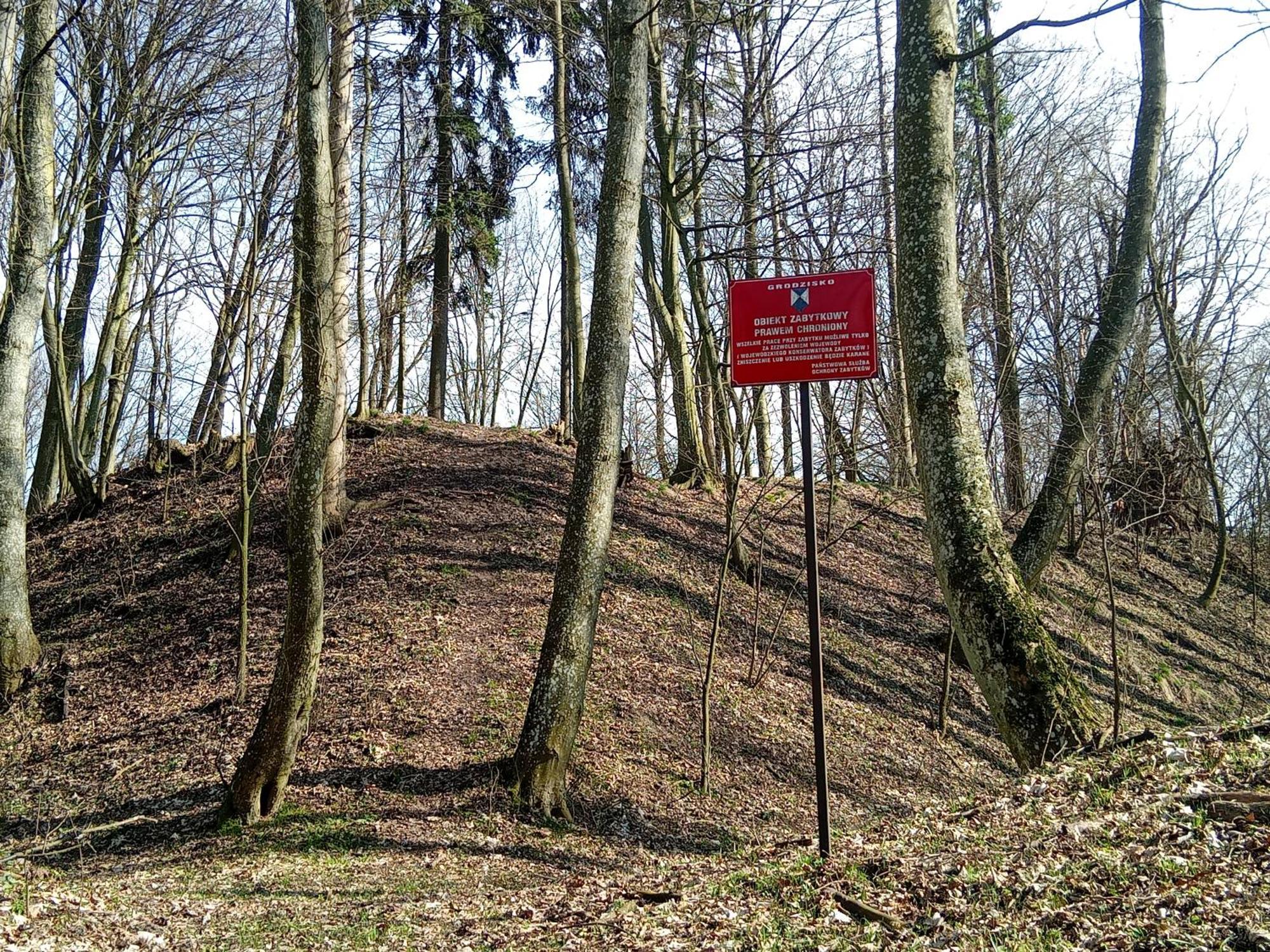 Pokoje Goscinne Sloneczny Klon Dabrowno Extérieur photo