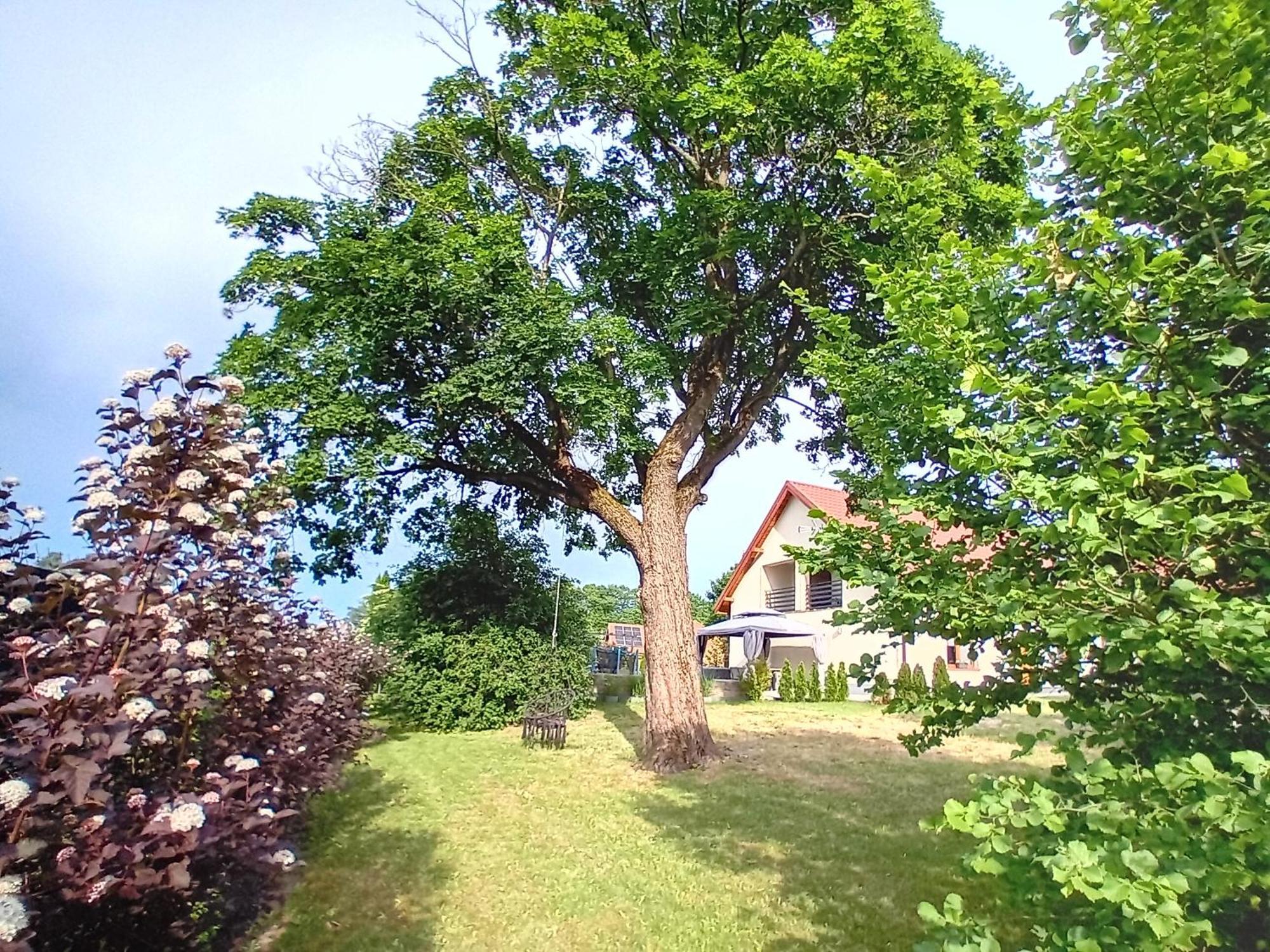 Pokoje Goscinne Sloneczny Klon Dabrowno Extérieur photo